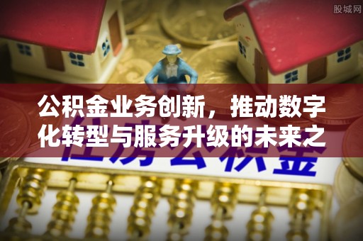 沅陵公积金业务创新，推动数字化转型与服务升级的未来之路