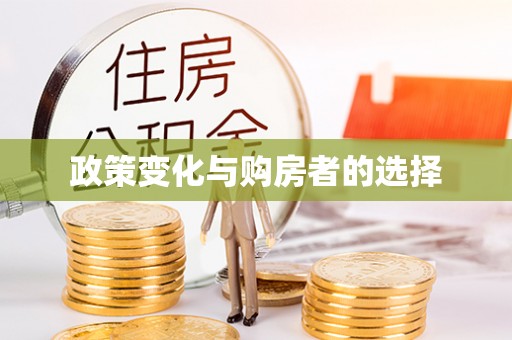 沅陵政策变化与购房者的选择
