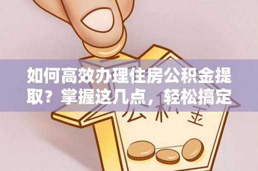 沅陵如何高效办理住房公积金提取？掌握这几点，轻松搞定！