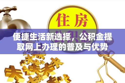 沅陵便捷生活新选择，公积金提取网上办理的普及与优势